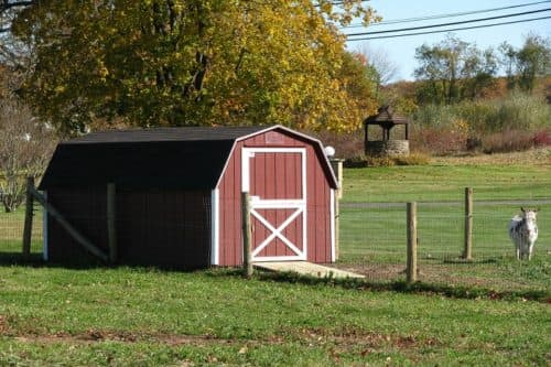 Storage Shed from All Amish Structures